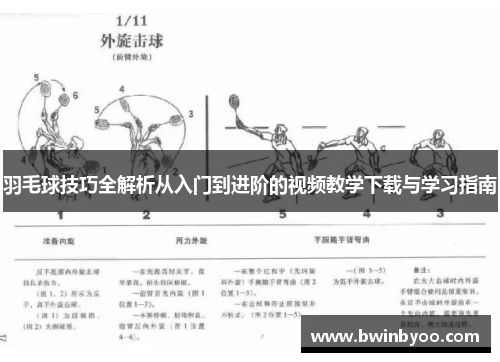 羽毛球技巧全解析从入门到进阶的视频教学下载与学习指南